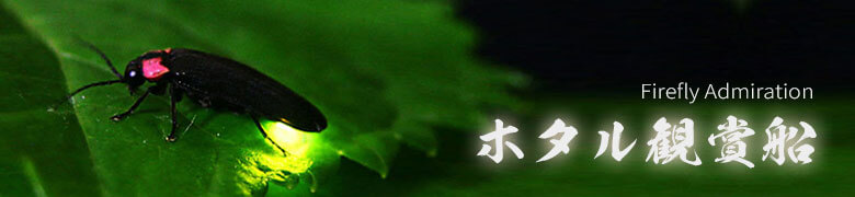 AO Firefly Camp [ 期間限定 ホタル観賞 屋形船 ]